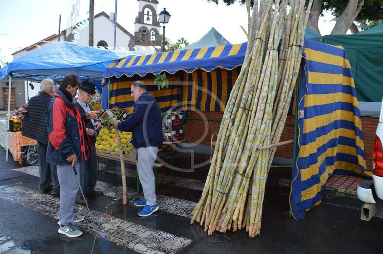 Jinámar se resiste a no celebrar sus fiestas patronales/TA.